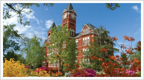Auburn