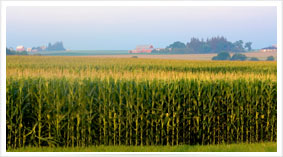 Iowa